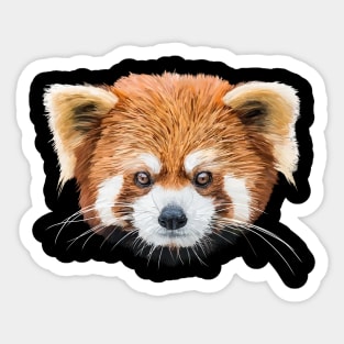 Red panda Sticker